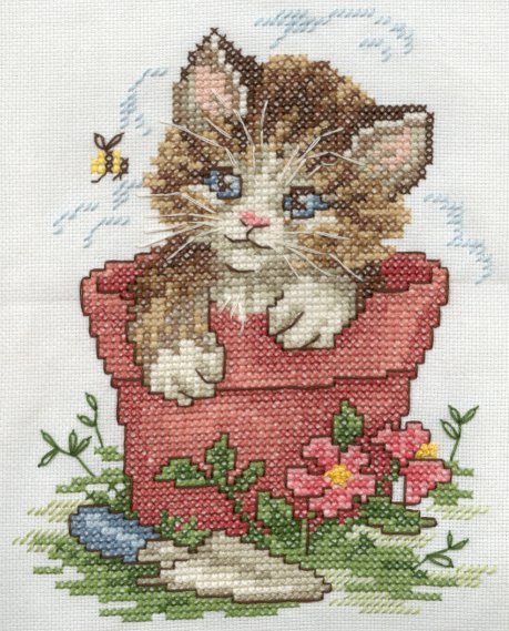 Kitten-Completed January 2002